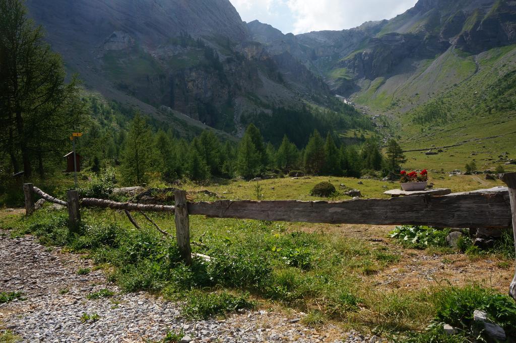 Bnb Valais - By La Sittelle Grimisuat 外观 照片